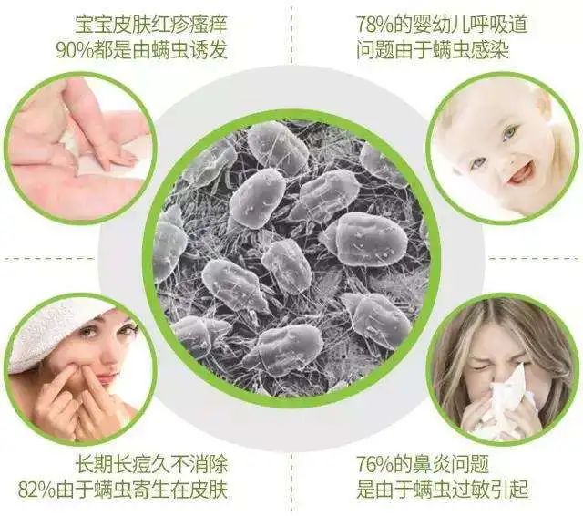 被子不方便曬怎么除螨？曬被子需要曬兩面嗎？